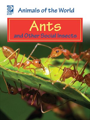 cover image of Ants and Other Social Insects